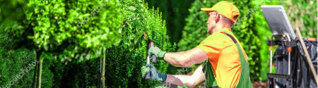 Ein Gärtner in orange-grüner Arbeitskleidung schneidet an einem sonnigen Tag eine hohe Hecke mit einer elektrischen Schere und bietet professionelle Hausmeisterdienste zur Grundstückspflege an.